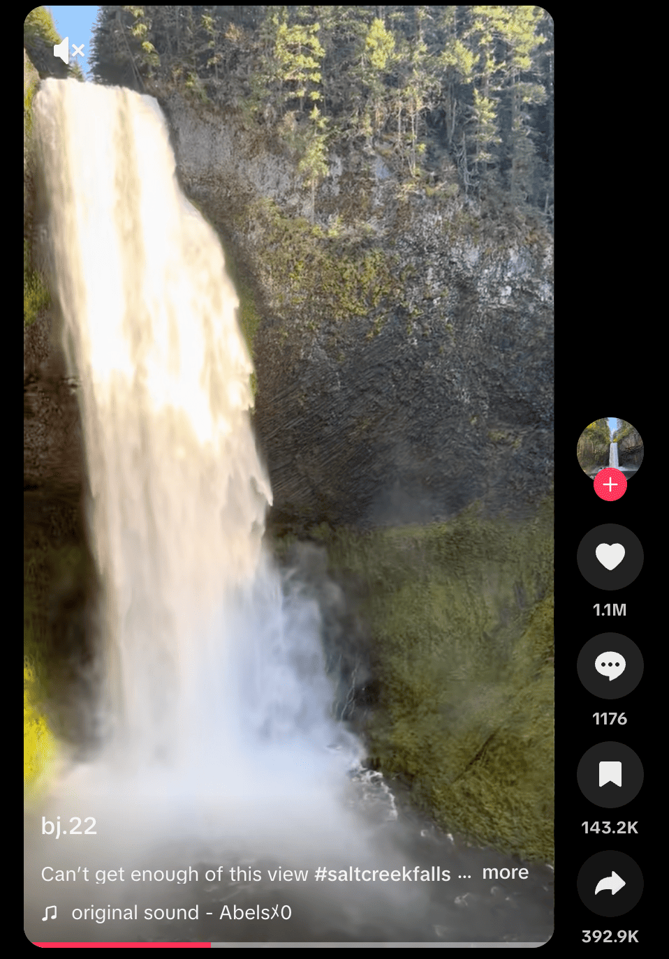 Copy TikTok Link